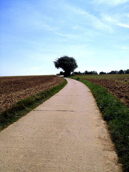 Richtung Weinberge