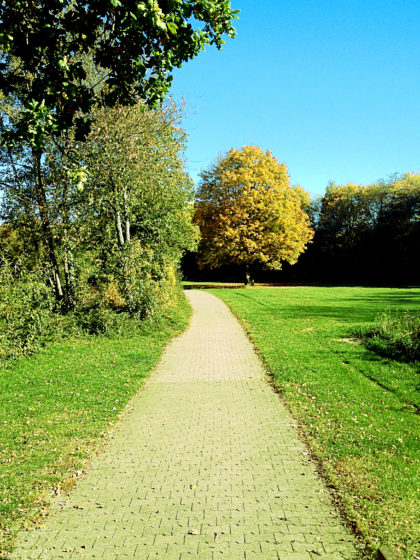 Zweimal um den Stadtweiher herum