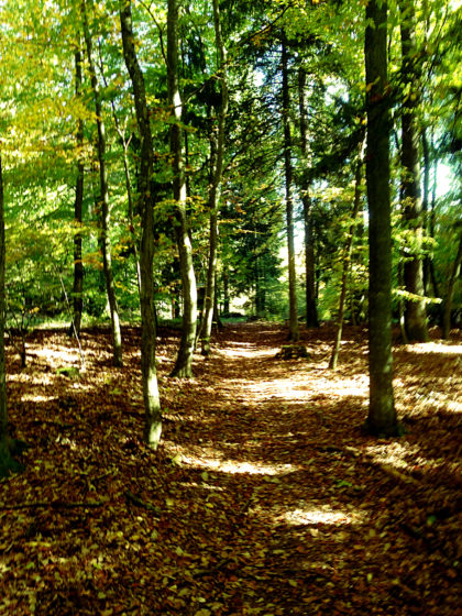 Herbstleuchten, nächster Grad