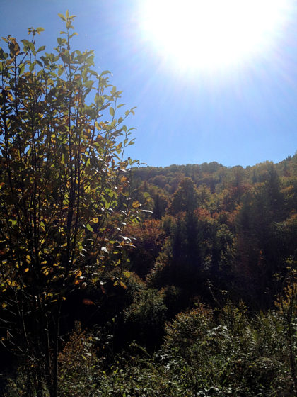 Herbstwaldpanorama vom Feinsten