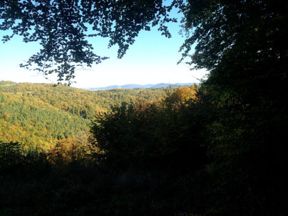 Noch ein Blick schräg übers Tal