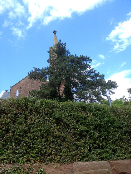Blick auf die Evangel. Kirche in Dilsberg