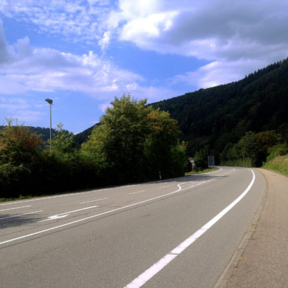 An der Straße zwischen Neckargerach und Zwingenberg