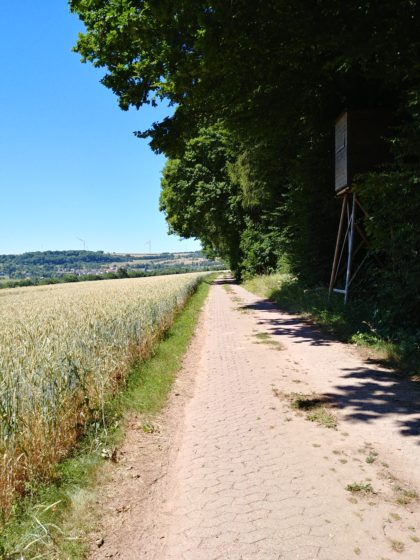 Das Dorf da hinten ist Wehingen