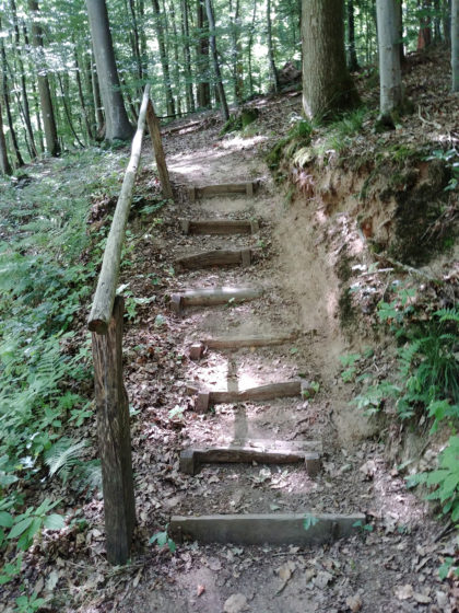 Der Wehinger Viezpfad ist insgesamt ca. 15 Kilometer lang