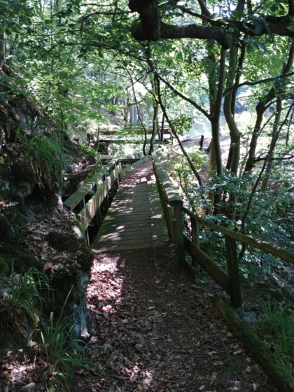 Auch das Wandern auf dem Saar-Hunsrück-Steig ist grandios