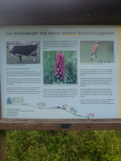 Naturschutzgebiet Wolferskopf