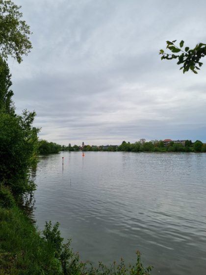 Hinter Ladenburg am Neckarufer