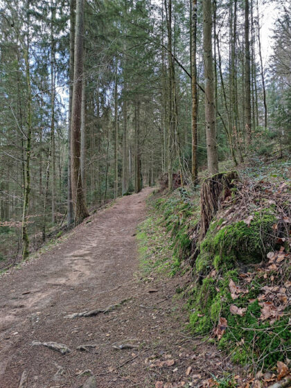 FOTO-WANDERUNG 63 - VON KAISERSLAUTERN NACH SCHOPP